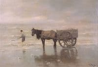 Gathering Seaweed