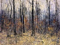 Interior Forest in Autumn