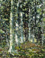 Birches