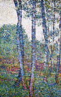 Birches by the Garden Fence
