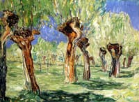 Weiden in Spring