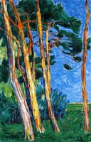 Group of Pines