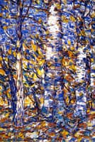 Birch Forest