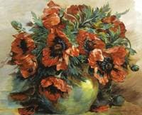 Poppies