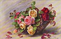 Roses