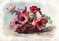 Anemones