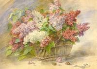Corbeille de lilacs aux hannetons