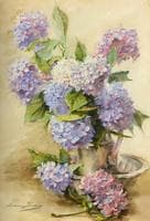 Blue Hortensias