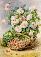 Roses and Rasberries