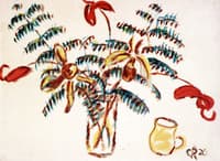 Orchids