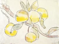 Branch with Apples