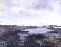 A Marshy Land - Near the lake Rozmberk