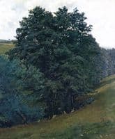 Above the brook near Lhota Víckovská