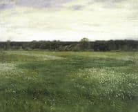 A Meadow in May Time