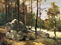 Forest view near Barbizon