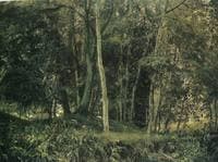 A Trees near Lhota Víchovská