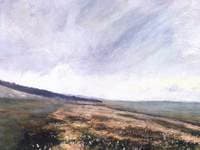 A Path Between Fields