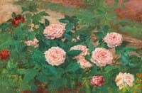 The Roses
