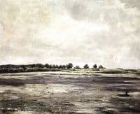 An Empty pond