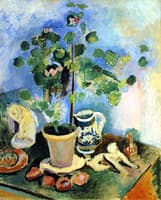 Still LIfe with a Geranium