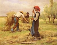 Hay making