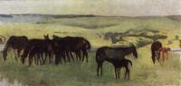 Horses