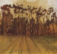 Autumn Landscape