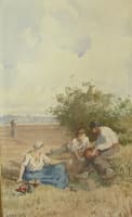 Scene in the Field