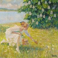 Wild Flowers