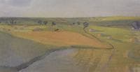 Fields in Neskuchnoye