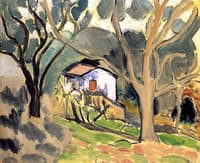 House among the Trees
