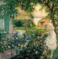 In the Rose Garden