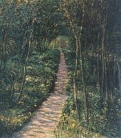 In a Leafy Forest