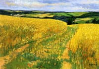 Fields of Wheat and Poppies