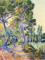 The Banks of the River