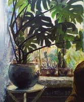 A Window
