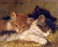 The Sleeping Kittens