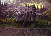Midsummer Night in Dalecarlia, Sweden