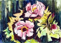 Japanese Peonies