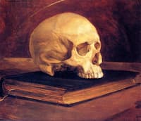 Vanitas - Still Life
