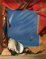 Trompe l'Oeil and Shells