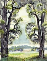 The Clearing
