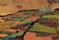 Field Landscape