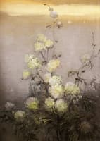 Chrysanthemums