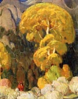 Cottonwood in the Indian Canyon
