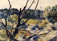 Dead Trees, Gloucester