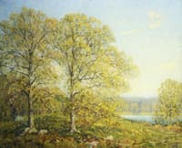 Spring Landscape