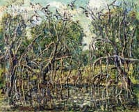 Florida Mangroves