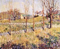 Spring Hillside