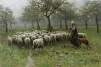 Shepherdess with Flock of Sheep